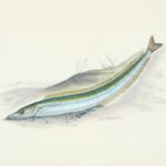 Balık Burcu 2026 Yorumu